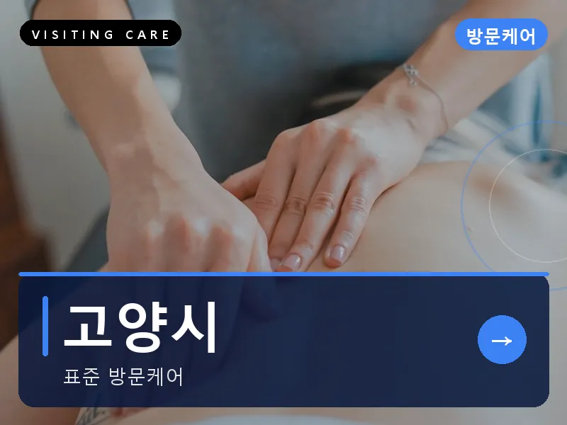 고양시 출장마사지 - 고양 스타케어
