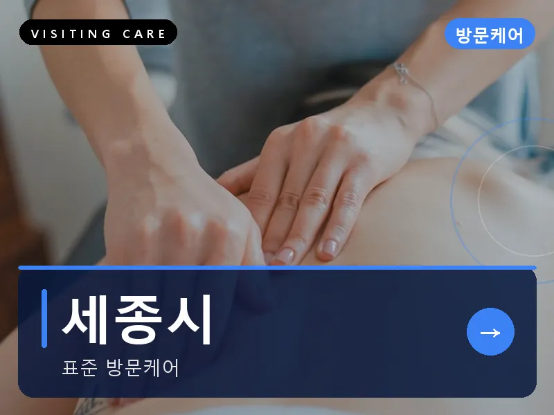 세종시 출장마사지 - 세종 리버케어